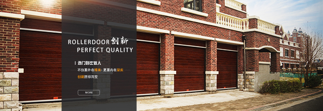 硬質(zhì)快速門(mén)廠(chǎng)家